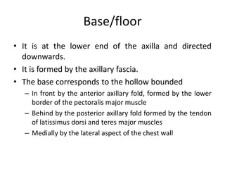 Base/floor
• It is at the lower end of the axilla and directed
downwards.
• It is formed by the axillary fascia.
• The base corresponds to the hollow bounded
– In front by the anterior axillary fold, formed by the lower
border of the pectoralis major muscle
– Behind by the posterior axillary fold formed by the tendon
of latissimus dorsi and teres major muscles
– Medially by the lateral aspect of the chest wall
 