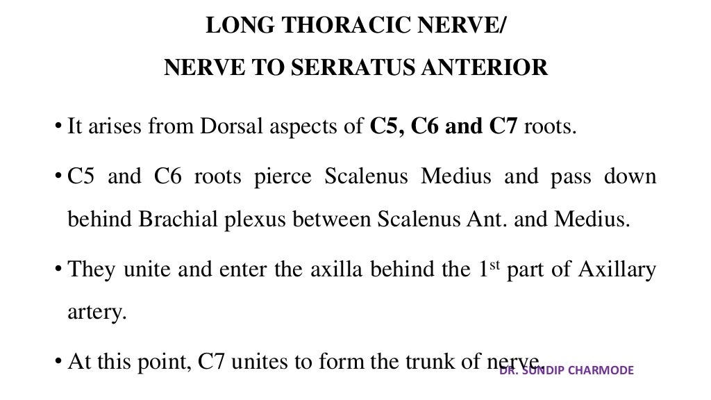 Axilla - 2 (Brachial plexus and clinical correlates).pptx