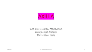 AXILLA
G. O. Omotoso B.Sc., MB;BS, Ph.D.
Deparment of Anatomy
University of Ilorin
1/8/2022 1
Dr Omotoso/Axilla 2021
 