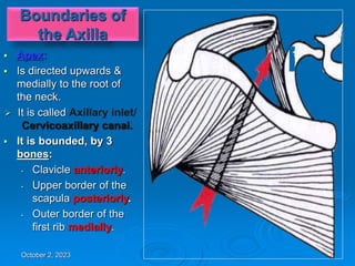 Axillar Ribs AXILLA 2022.ppt