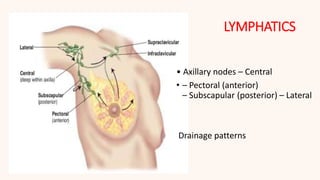 AXILLA AND BREAST.pptx