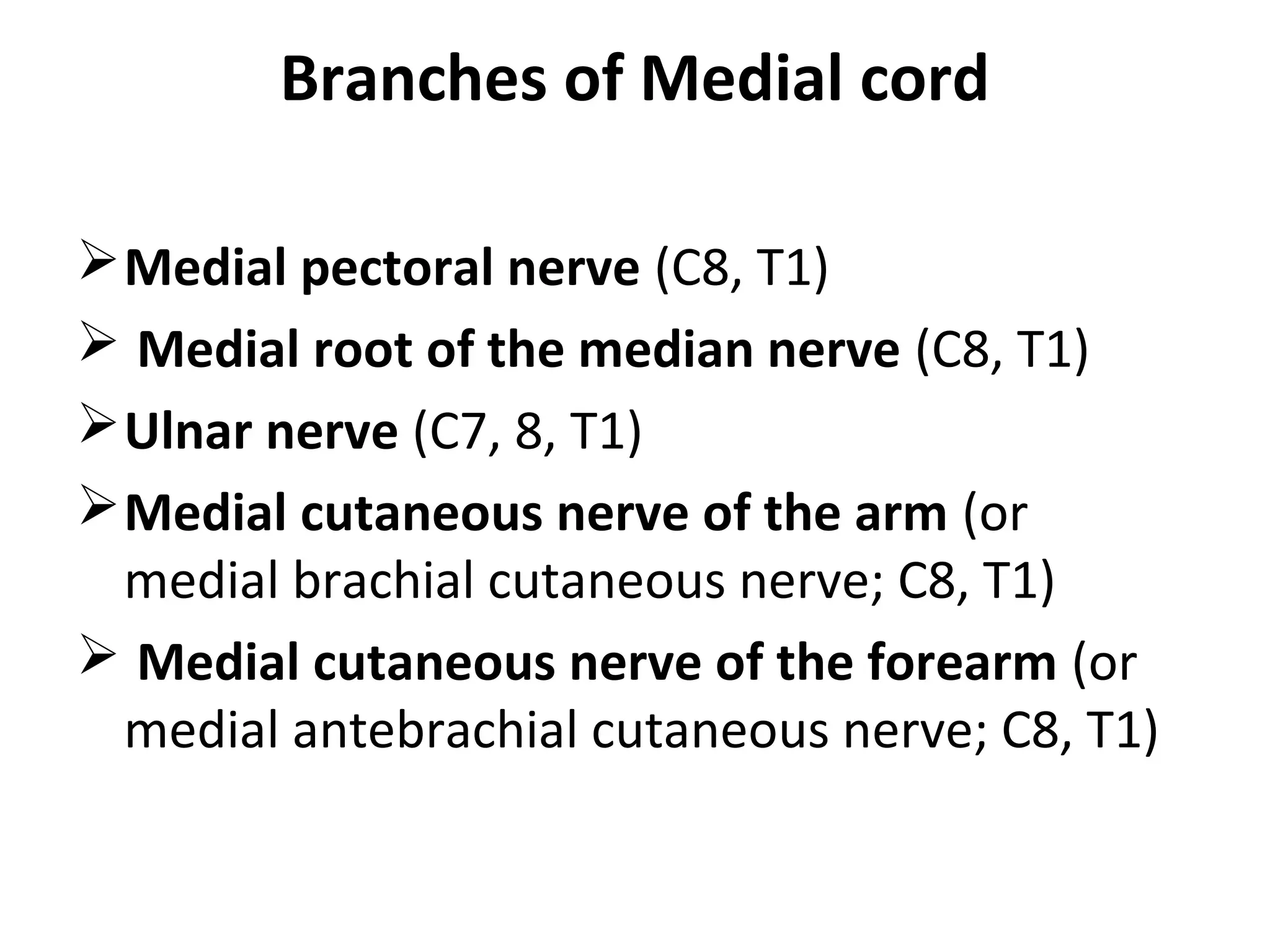 Branches of Medial cord
Medial pectoral nerve (C8, T1)
 Medial root of the median nerve (C8, T1)
Ulnar nerve (C7, 8, T1)
Medial cutaneous nerve of the arm (or
medial brachial cutaneous nerve; C8, T1)
 Medial cutaneous nerve of the forearm (or
medial antebrachial cutaneous nerve; C8, T1)
 