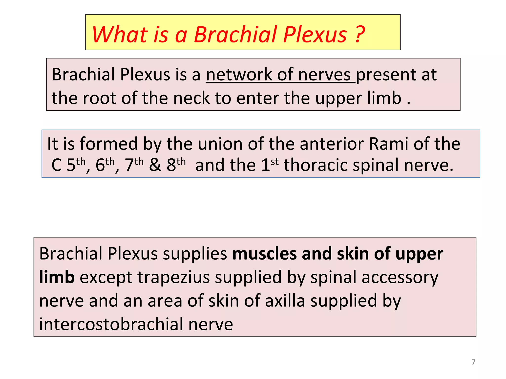What is a Brachial Plexus ?
Brachial Plexus is a network of nerves present at
the root of the neck to enter the upper limb .
Brachial Plexus supplies muscles and skin of upper
limb except trapezius supplied by spinal accessory
nerve and an area of skin of axilla supplied by
intercostobrachial nerve
7
It is formed by the union of the anterior Rami of the
C 5th
, 6th
, 7th
& 8th
and the 1st
thoracic spinal nerve.
 