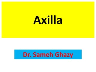 Axilla
Dr. Sameh Ghazy
 