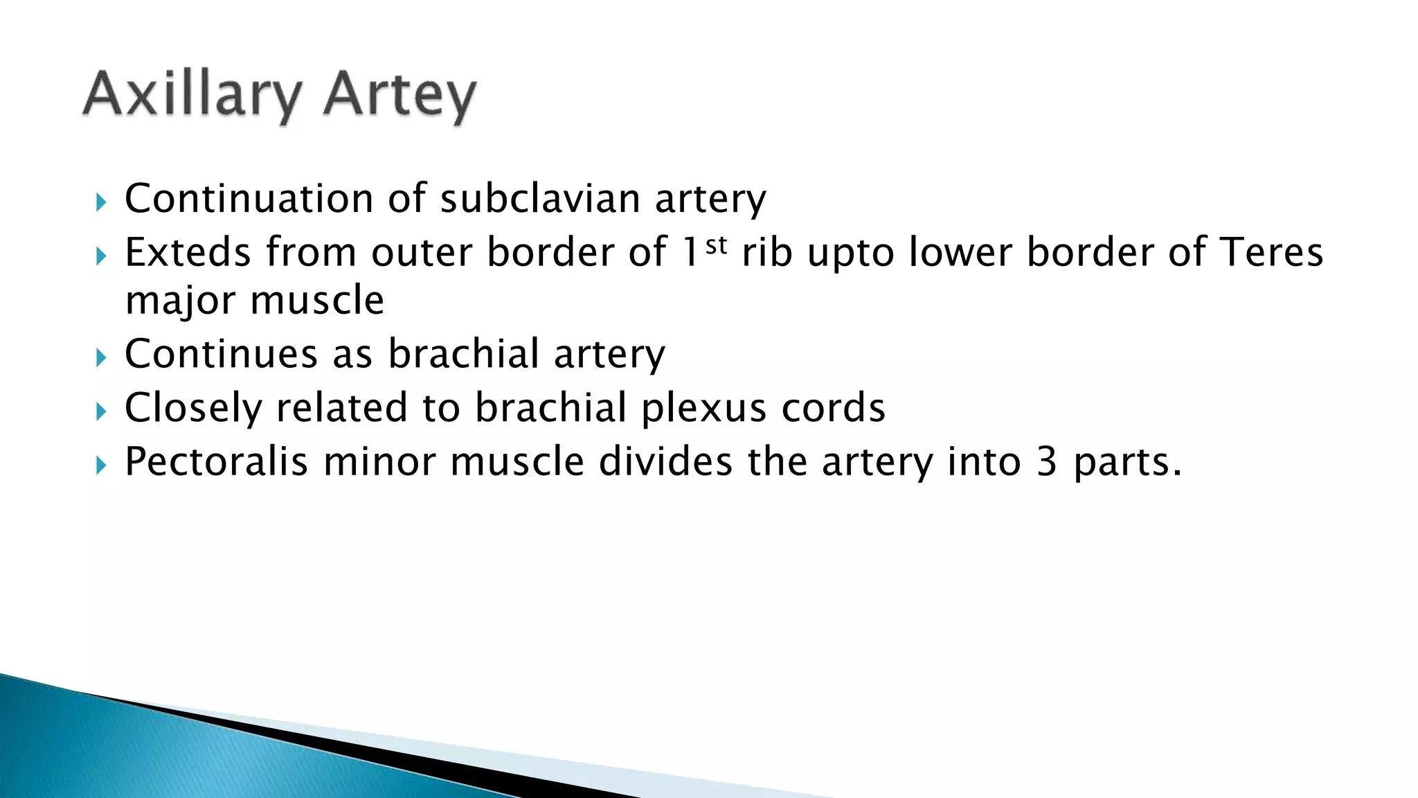  Continuation of subclavian artery
 Exteds from outer border of 1st rib upto lower border of Teres
major muscle
 Continues as brachial artery
 Closely related to brachial plexus cords
 Pectoralis minor muscle divides the artery into 3 parts.
 