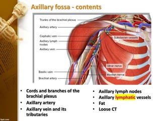 Axillary fossa_12.7.23.pptx