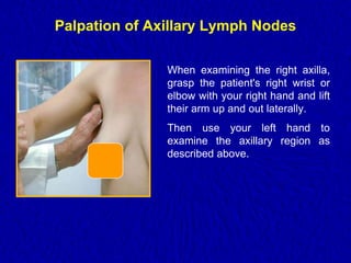 Axillary Lymph Nodes Examination.pptx