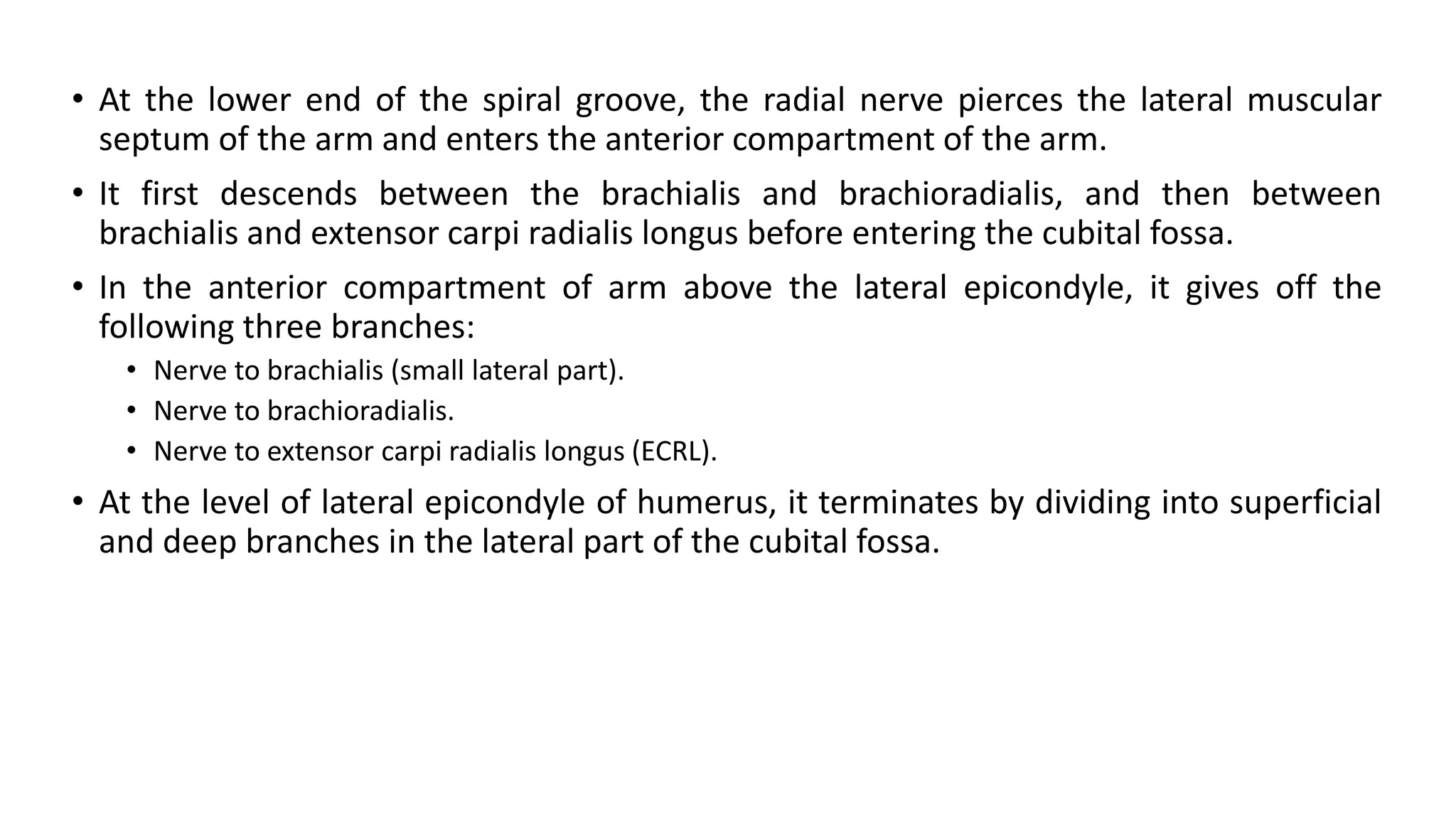 • At the lower end of the spiral groove, the radial nerve pierces the lateral muscular
septum of the arm and enters the anterior compartment of the arm.
• It first descends between the brachialis and brachioradialis, and then between
brachialis and extensor carpi radialis longus before entering the cubital fossa.
• In the anterior compartment of arm above the lateral epicondyle, it gives off the
following three branches:
• Nerve to brachialis (small lateral part).
• Nerve to brachioradialis.
• Nerve to extensor carpi radialis longus (ECRL).
• At the level of lateral epicondyle of humerus, it terminates by dividing into superficial
and deep branches in the lateral part of the cubital fossa.
 
