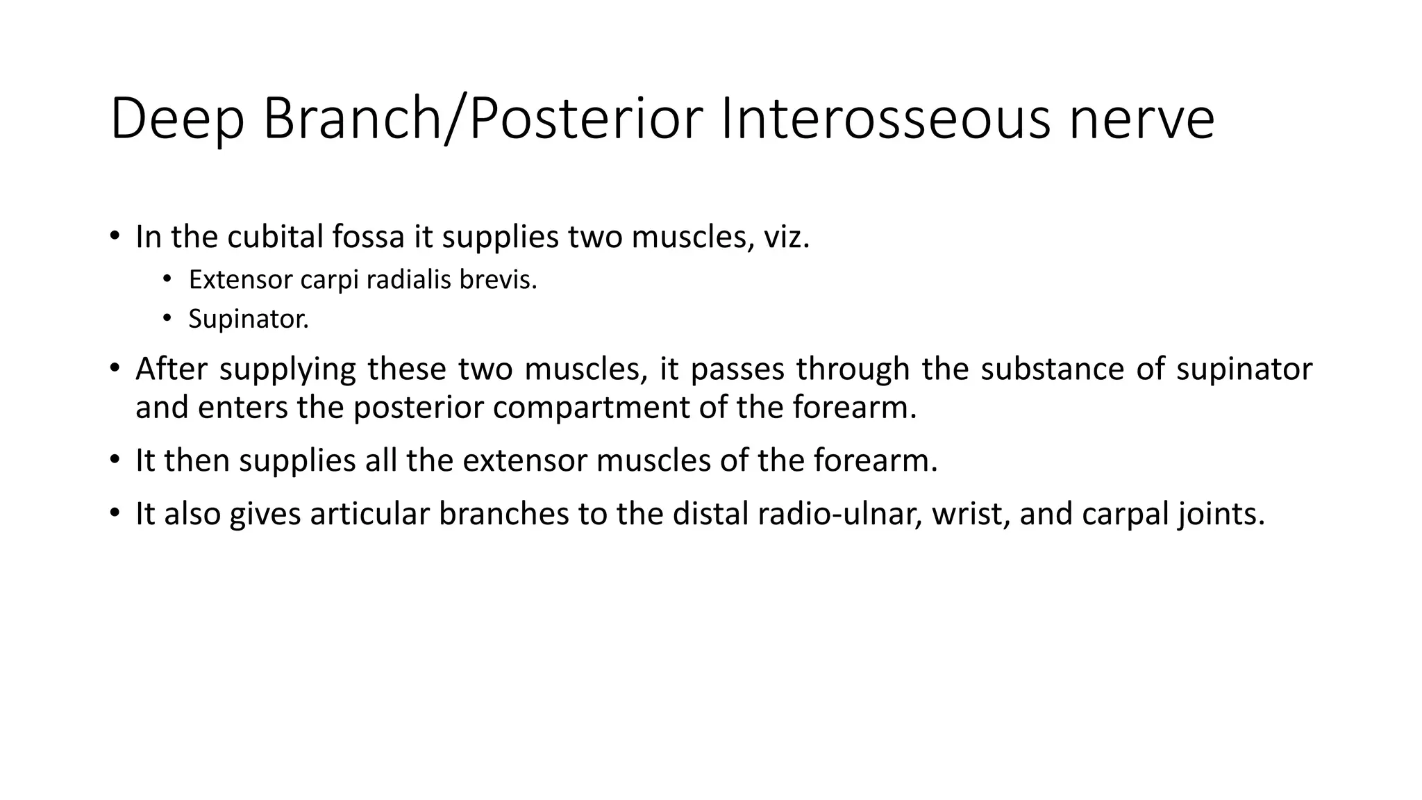 Deep Branch/Posterior Interosseous nerve
• In the cubital fossa it supplies two muscles, viz.
• Extensor carpi radialis brevis.
• Supinator.
• After supplying these two muscles, it passes through the substance of supinator
and enters the posterior compartment of the forearm.
• It then supplies all the extensor muscles of the forearm.
• It also gives articular branches to the distal radio-ulnar, wrist, and carpal joints.
 