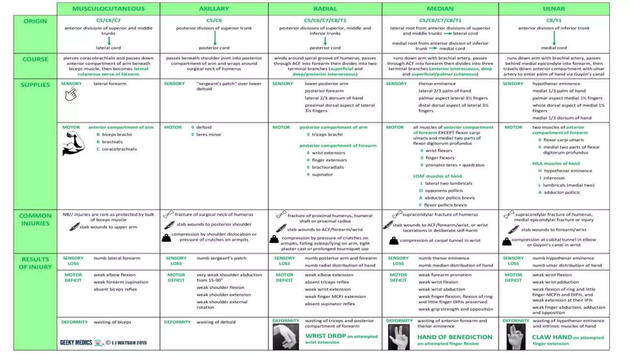 Axillary, Musculocutaneous & Radial Nerve.pptx