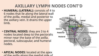 ANATOMY OF THE ARMPIT/ AXILLA (SULYMAN).pptx
