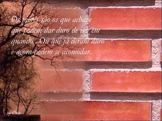 Os piores são os que acham  que podem dar duro de vez em quando.  Ou que já deram duro  e agora podem se acomodar.   