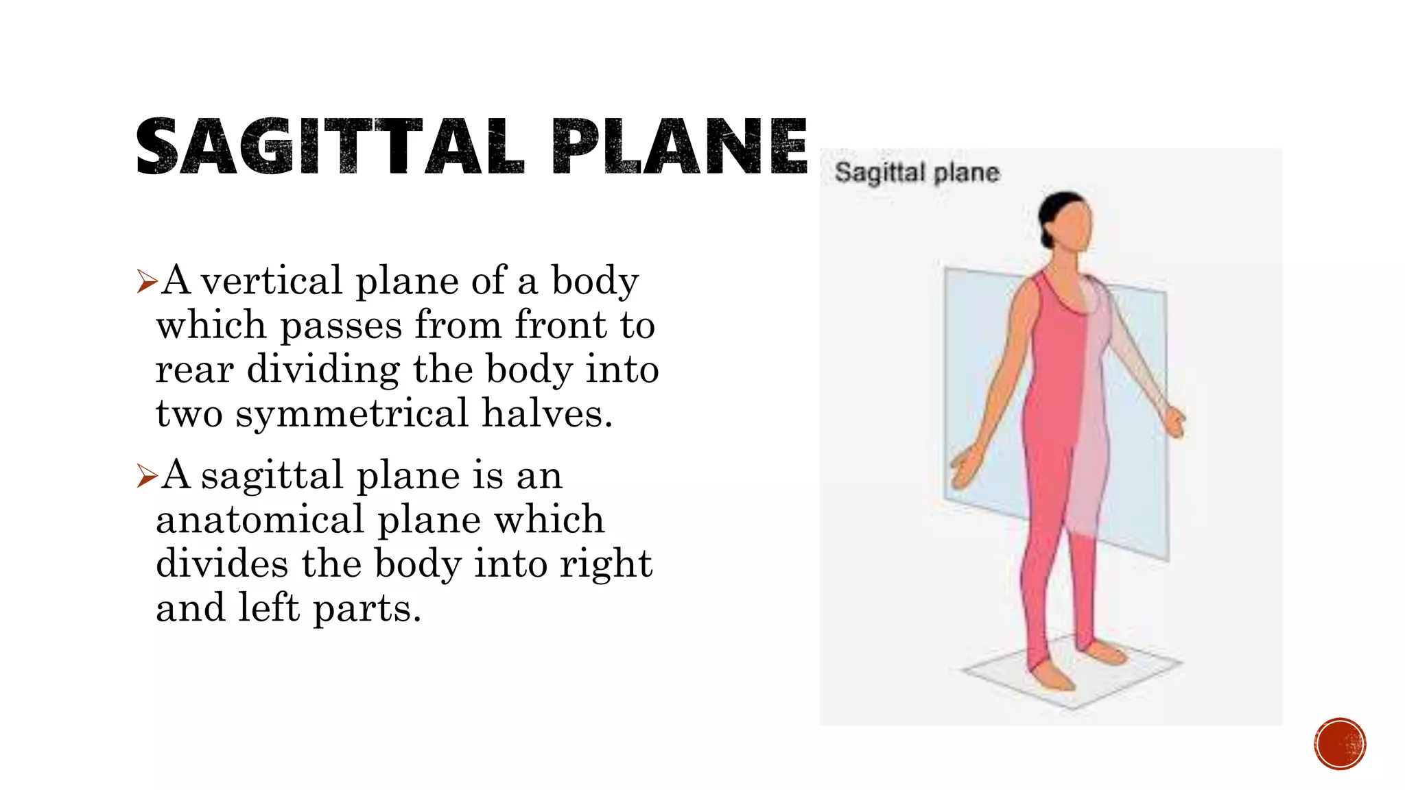 Halves Body Part Axis and plane of movements.ppt