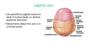 sagittal axis
• Lies parallel to sagittal suture in
skull in human body i.e. Antero
posterior direction.
• Movements about this axis is in
a frontal plane.
 