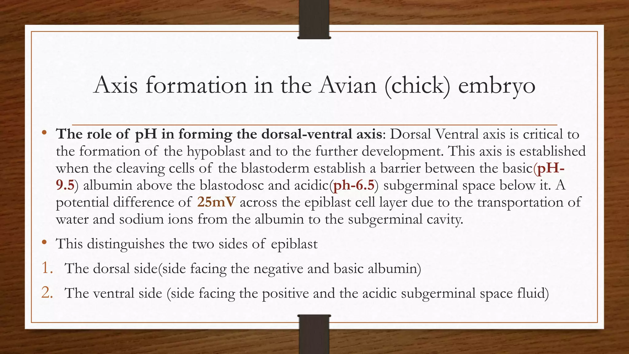 Axis formation in the Avian (chick) embryo
• The role of pH in forming the dorsal-ventral axis: Dorsal Ventral axis is critical to
the formation of the hypoblast and to the further development. This axis is established
when the cleaving cells of the blastoderm establish a barrier between the basic(pH-
9.5) albumin above the blastodosc and acidic(ph-6.5) subgerminal space below it. A
potential difference of 25mV across the epiblast cell layer due to the transportation of
water and sodium ions from the albumin to the subgerminal cavity.
• This distinguishes the two sides of epiblast
1. The dorsal side(side facing the negative and basic albumin)
2. The ventral side (side facing the positive and the acidic subgerminal space fluid)
 