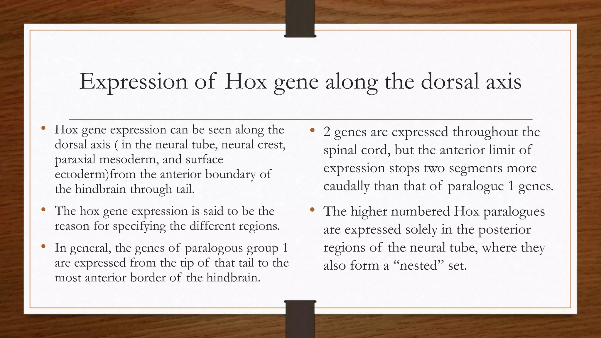 Expression of Hox gene along the dorsal axis
• Hox gene expression can be seen along the
dorsal axis ( in the neural tube, neural crest,
paraxial mesoderm, and surface
ectoderm)from the anterior boundary of
the hindbrain through tail.
• The hox gene expression is said to be the
reason for specifying the different regions.
• In general, the genes of paralogous group 1
are expressed from the tip of that tail to the
most anterior border of the hindbrain.
• 2 genes are expressed throughout the
spinal cord, but the anterior limit of
expression stops two segments more
caudally than that of paralogue 1 genes.
• The higher numbered Hox paralogues
are expressed solely in the posterior
regions of the neural tube, where they
also form a “nested” set.
 