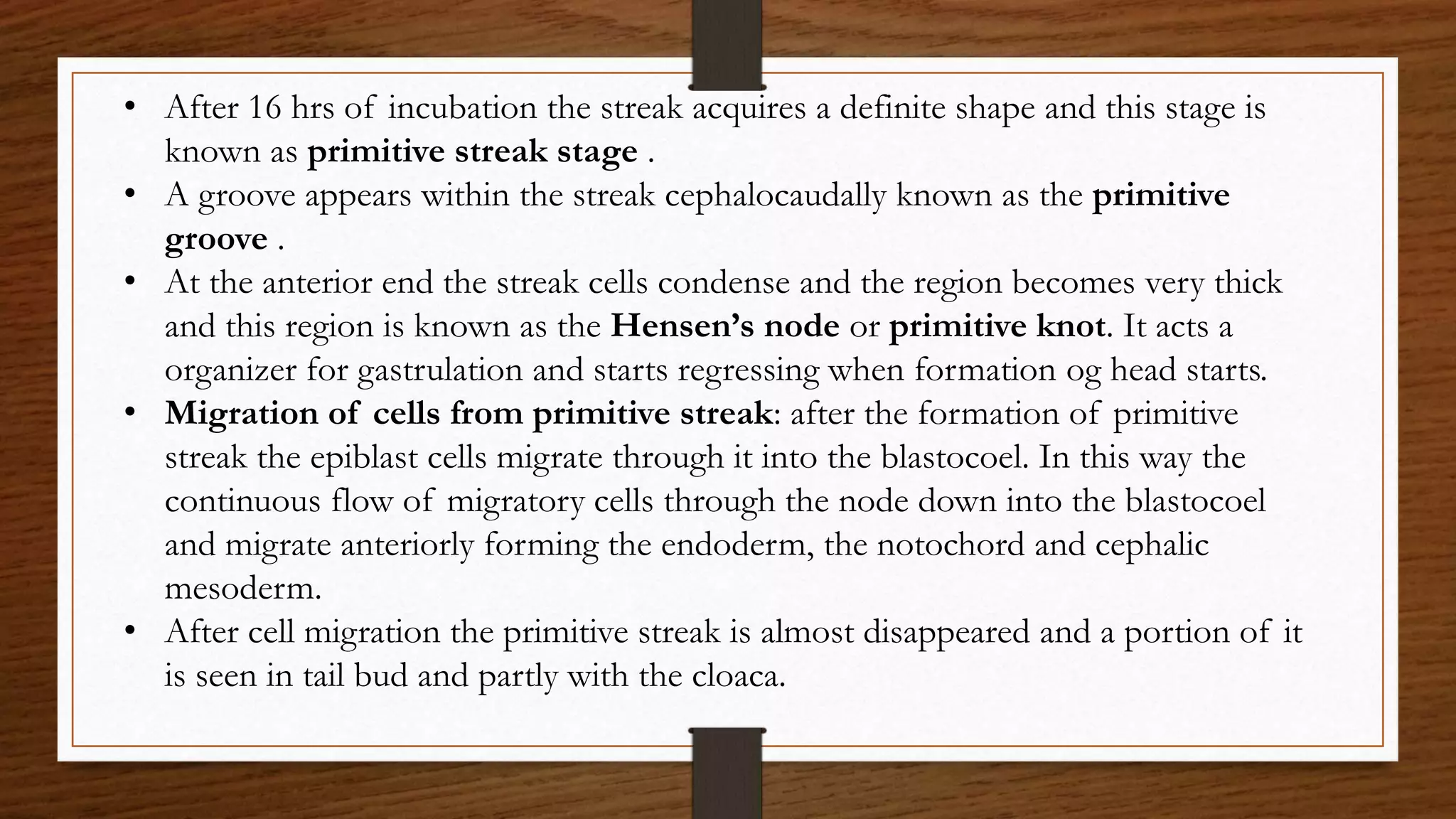 • After 16 hrs of incubation the streak acquires a definite shape and this stage is
known as primitive streak stage .
• A groove appears within the streak cephalocaudally known as the primitive
groove .
• At the anterior end the streak cells condense and the region becomes very thick
and this region is known as the Hensen’s node or primitive knot. It acts a
organizer for gastrulation and starts regressing when formation og head starts.
• Migration of cells from primitive streak: after the formation of primitive
streak the epiblast cells migrate through it into the blastocoel. In this way the
continuous flow of migratory cells through the node down into the blastocoel
and migrate anteriorly forming the endoderm, the notochord and cephalic
mesoderm.
• After cell migration the primitive streak is almost disappeared and a portion of it
is seen in tail bud and partly with the cloaca.
 
