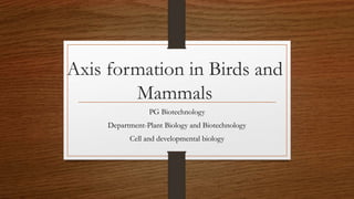 Axis formation in Birds and
Mammals
PG Biotechnology
Department-Plant Biology and Biotechnology
Cell and developmental biology
 