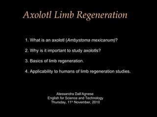 Alessandra Dall’Agnese  English for Science and Technology Thursday, 11 th  November, 2010 1. What is an axolotl ( Ambystoma mexicanum) ? 2. Why is it important to study axolotls?  3. Basics of limb regeneration. 4. Applicability to humans of limb regeneration studies. Axolotl Limb Regeneration 