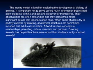 Axolotl Math Integrating Axolotls in Education: Science, Math, and Creative Learning ...