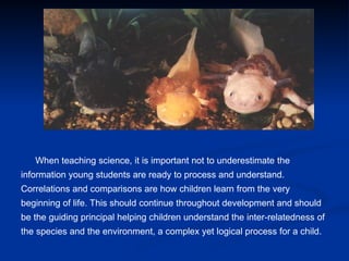 Axolotl Math Integrating Axolotls in Education: Science, Math, and Creative Learning ...
