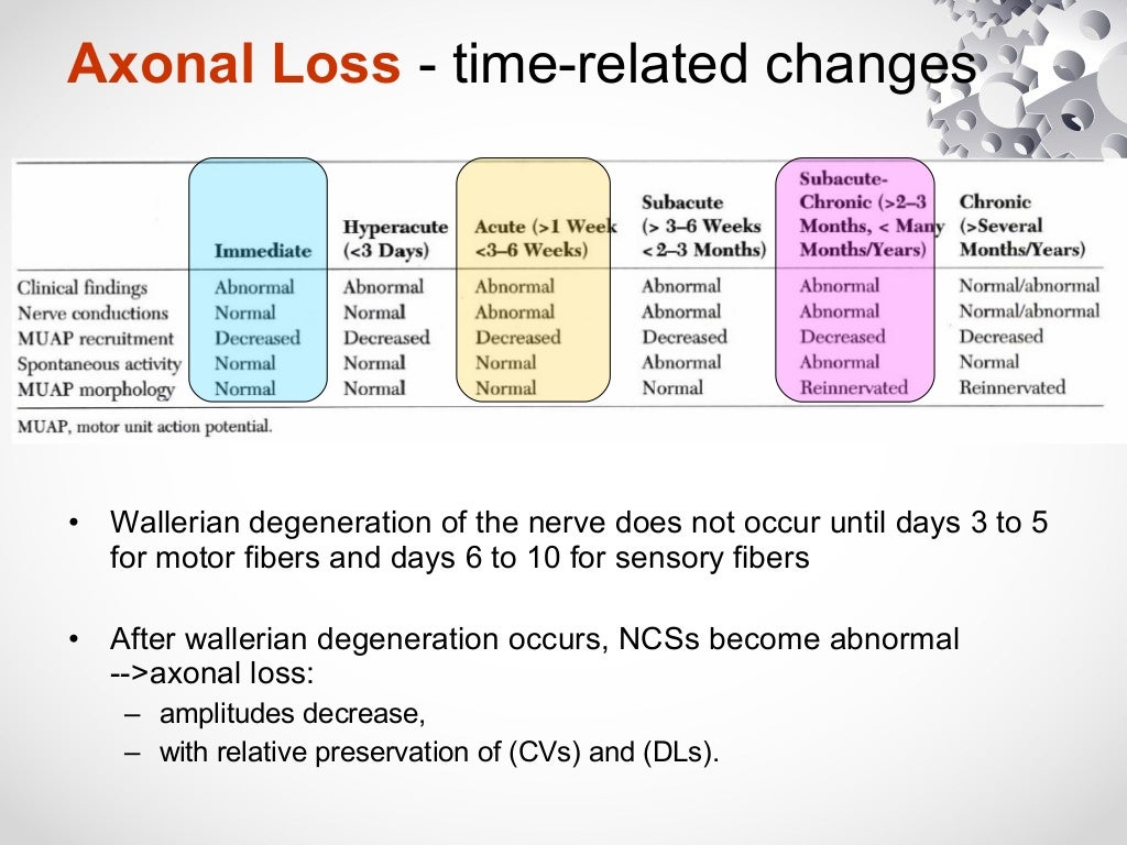 Nerves conduction study, Axonal loss vs Demyelination