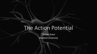 The Action Potential
Tai Kao-Sowa
Stanford University
 