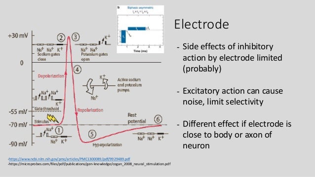 all or none principle action potential all or none principle action potential