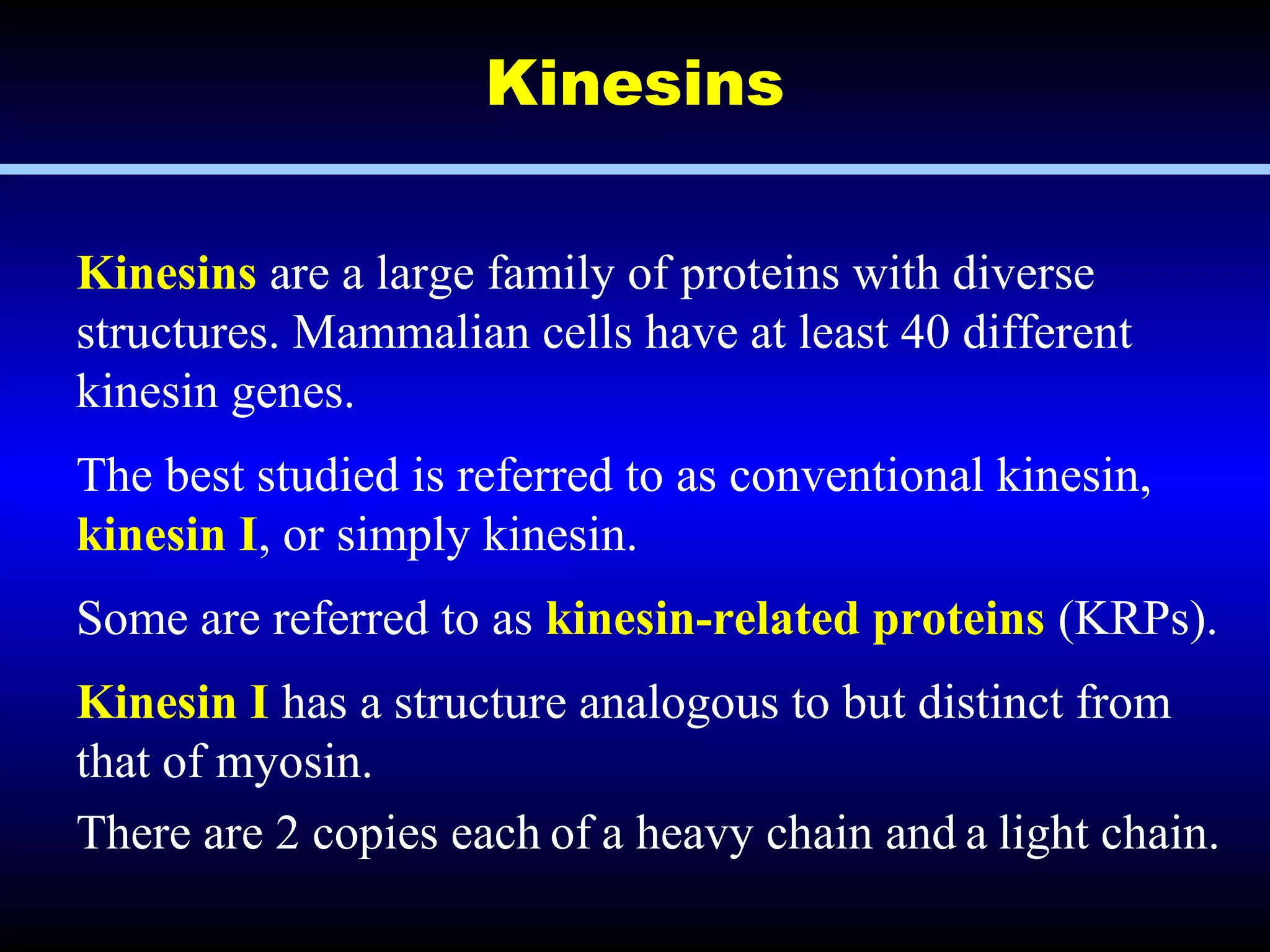 Axoplasmic flow in Axons - Mechanisms and Applications in Clinical ...