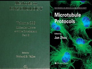 Axoplasmic flow in Axons - Mechanisms and Applications in Clinical ...