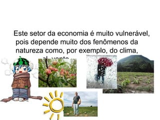 Este setor da economia é muito vulnerável,
pois depende muito dos fenômenos da
natureza como, por exemplo, do clima,
chuva, sol, vento.
 