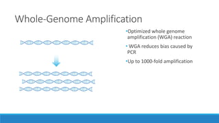 Whole-Genome Amplification
•Optimized whole genome
amplification (WGA) reaction
• WGA reduces bias caused by
PCR
•Up to 1000-fold amplification
 