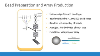 Axt microarrays | PPT