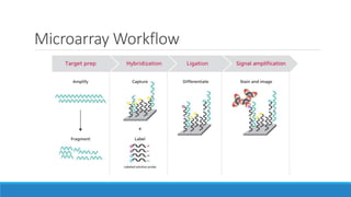 Axt microarrays | PPT