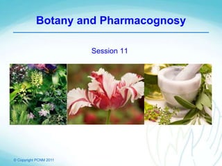 © Copyright PCNM 2011
Botany and Pharmacognosy
Session 11
 