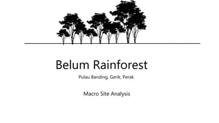 Belum Rainforest
Pulau Banding, Gerik, Perak
Macro Site Analysis
 