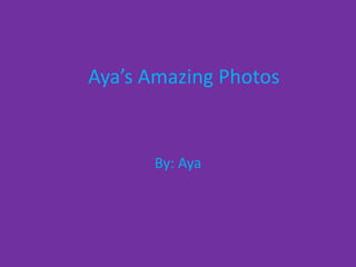 Aya’s Amazing Photos


      By: Aya
 