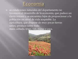    as condiciones naturales del departamento no
    favorecen el desarrollo de la economía, que padece un
    cierto retraso y se encuentra lejos de proporcionar a la
    población un nivel de vida aceptable. La
    agricultura, que dispone de muy pocas tierras
    útiles, produce sobre todo
    maíz, cebada, trigo, vid, papas y coca.
 