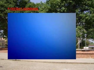 FIESTAS Y QUEBRADA.
 