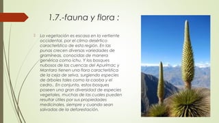 1.7.-fauna y flora :
 La vegetación es escasa en la vertiente
occidental, por el clima desértico
característico de esta región. En las
punas crecen diversas variedades de
gramíneas, conocidas de manera
genérica como ichu. Y los bosques
nubosos de las cuencas del Apurímac y
Mantaro tienen una flora característica
de la ceja de selva, surgiendo especies
de árboles tales como la caoba y el
cedro.. En conjunto, estos bosques
poseen una gran diversidad de especies
vegetales, muchas de las cuales pueden
resultar útiles por sus propiedades
medicinales, siempre y cuando sean
salvadas de la deforestación.
 