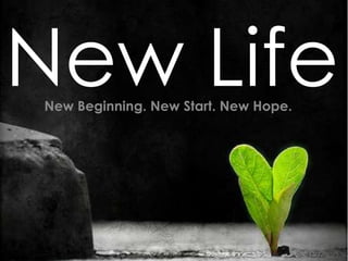 New Life
New Beginning. New Start. New Hope.
 