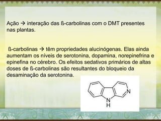 Ação  interação das ß-carbolinas com o DMT presentes
nas plantas.
ß-carbolinas  têm propriedades alucinógenas. Elas ainda
aumentam os níveis de serotonina, dopamina, norepinefrina e
epinefina no cérebro. Os efeitos sedativos primários de altas
doses de ß-carbolinas são resultantes do bloqueio da
desaminação da serotonina.
 