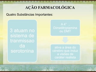 AÇÃO FARMACOLÓGICA
Quatro Substâncias Importantes:
3 atuam no
sistema de
tranmissao
da
serotonina
A 4°,
Dimetiltriptamina
ou DMT
ativa a área do
cérebro que induz
a visões de
caráter realista
 