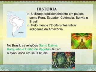HISTÓRIA
Utilizada tradicionalmente em países
como Peru, Equador, Colômbia, Bolívia e
Brasil
Pelo menos 72 diferentes tribos
indígenas da Amazônia.
No Brasil, as religiões Santo Daime,
Barquinha e União do Vegetal utilizam
a ayahuasca em seus rituais.
 