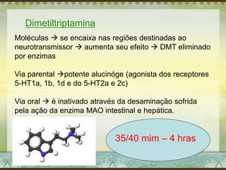 Dimetiltriptamina
Moléculas  se encaixa nas regiões destinadas ao
neurotransmissor  aumenta seu efeito  DMT eliminado
por enzimas
Via parental potente alucinóge (agonista dos receptores
5-HT1a, 1b, 1d e do 5-HT2a e 2c)
Via oral  é inativado através da desaminação sofrida
pela ação da enzima MAO intestinal e hepática.
35/40 mim – 4 hras
 