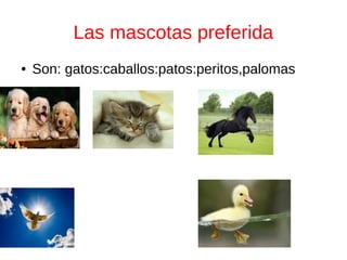 Las mascotas preferida
● Son: gatos:caballos:patos:peritos,palomas
 