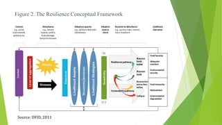 Figure 2. The Resilience Conceptual Framework
Source: DFID, 2011
 