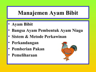 Manajemen Ayam Bibit
•
•
•
•
•
•

Ayam Bibit
Bangsa Ayam Pembentuk Ayam Niaga
Sistem & Metode Perkawinan
Perkandangan
Pemberian Pakan
Pemeliharaan

 