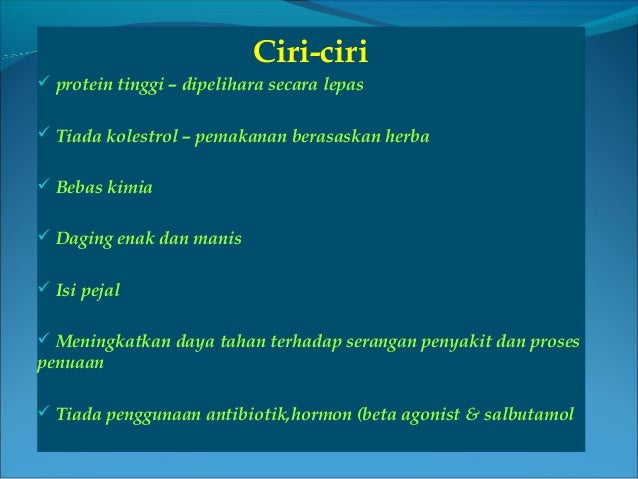 FIQH HALAL HARAM ( AYAM ORGANIK )