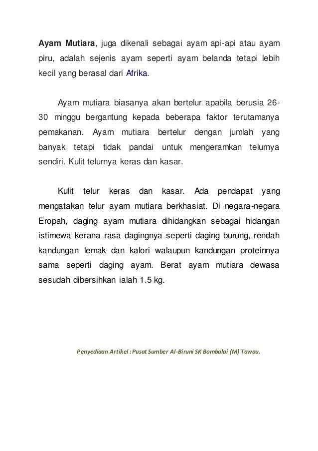 33+ Burung api 2 terupdate